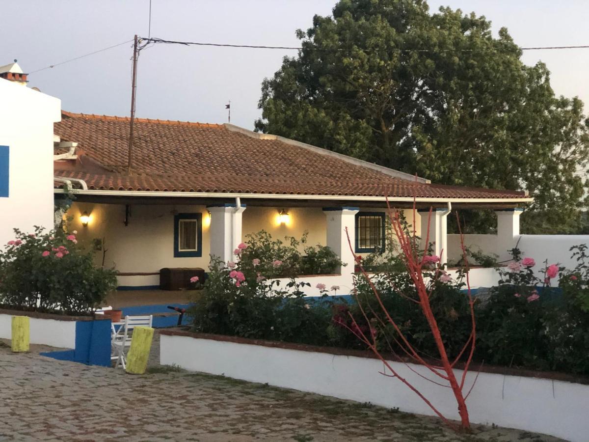 Oliveirinha Country House ايفورا المظهر الخارجي الصورة