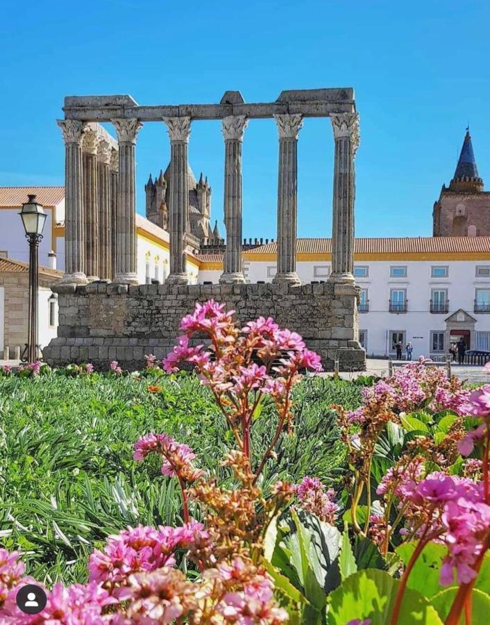 Oliveirinha Country House ايفورا المظهر الخارجي الصورة