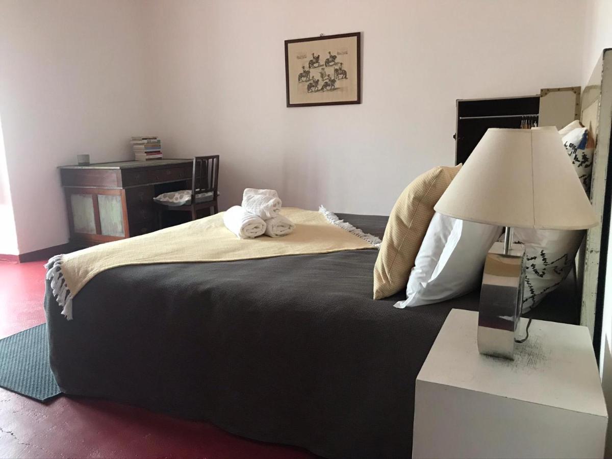 Oliveirinha Country House ايفورا المظهر الخارجي الصورة